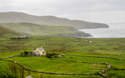 Windsor Framework Implementation Update 1st May 2025